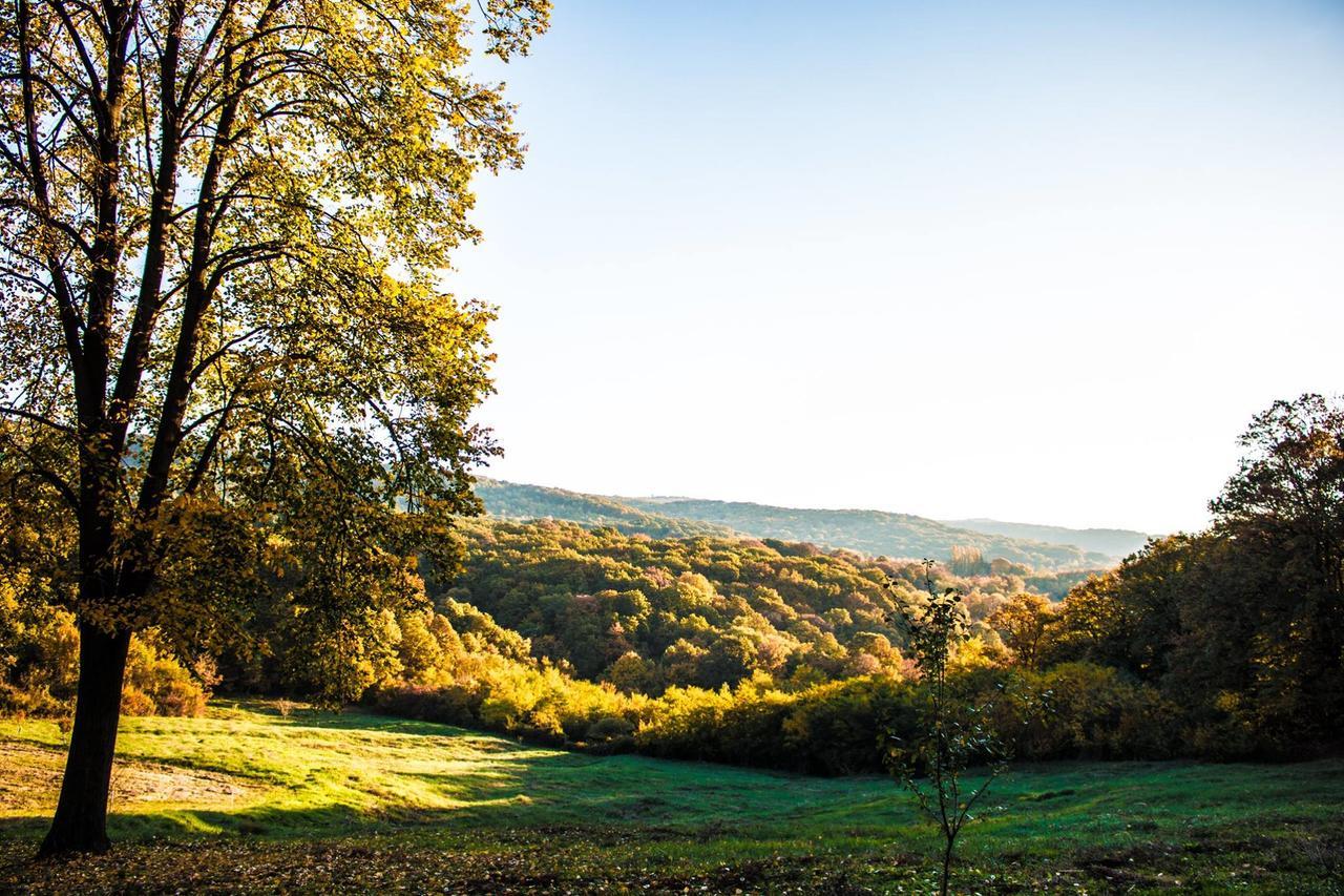 Etno Naselje Vrdnicka Kula Bed & Breakfast Vrdnik Luaran gambar